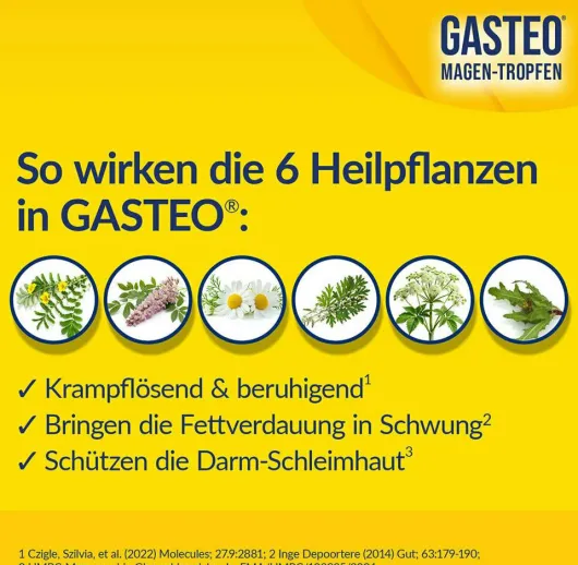 Gasteo Magen-Tropfen 100 ml