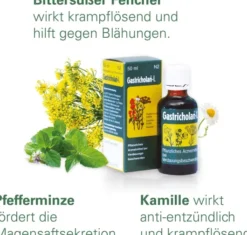 Gastricholan L Flüssig 30 ml Flüssigkeit