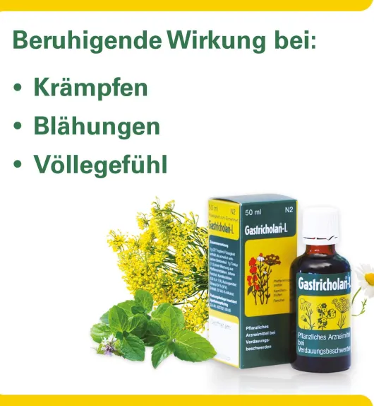 Gastricholan L Flüssig 30 ml Flüssigkeit