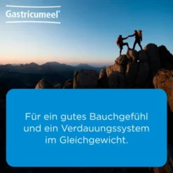 Gastricumeel 250 Tabletten