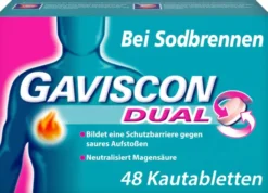 Gaviscon Dual 250 mg - 106,5 mg - 187,5 mg 48 Kautabletten