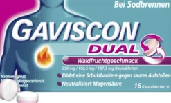 Gaviscon Dual Waldfrucht 250 mg-106,5 mg-187,5 mg 16 Kautabletten