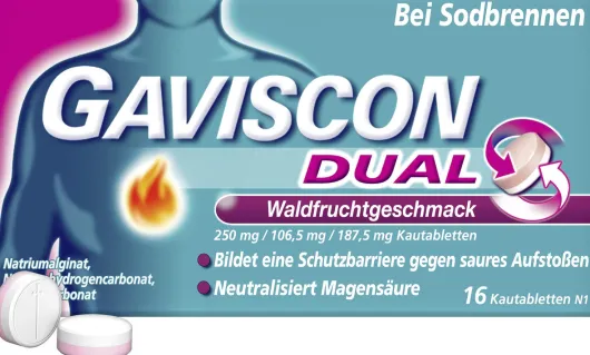 Gaviscon Dual Waldfrucht 250 mg-106,5 mg-187,5 mg 16 Kautabletten