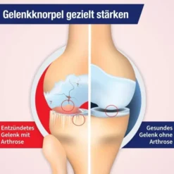 Gelencium Arthro Tropfen zum Einnehmen 100 ml