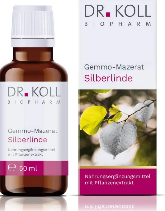 Gemmo Mazerat Silberlinde Dr.Koll Tilia Tomentosa 50 ml Tropfen