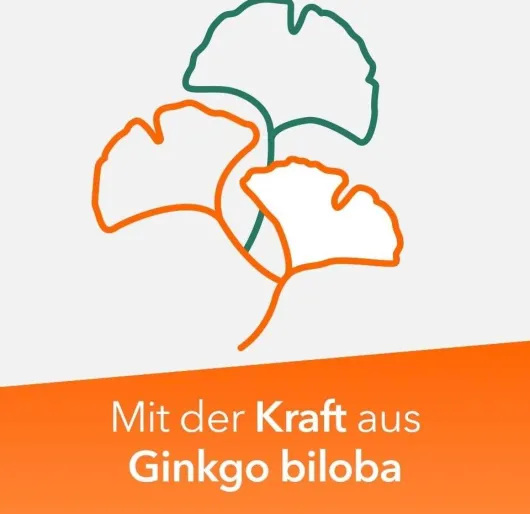 Ginkobil ratiopharm 120 mg 60 Filmtabletten