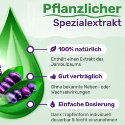 Glycowohl pflanzliche Tropfen bei Diabetes 50 ml