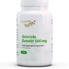 Graviola Extrakt 500 mg 120 Kapseln