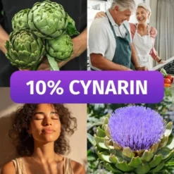 Green Naturals Artischocke 2600 mg mit 10% Cynarin 240 Kapseln