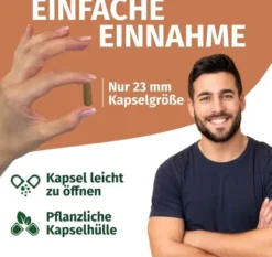 Green Naturals Reishi 650 mg Hochdosiert Vegan 180 Kapseln