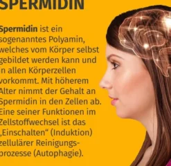 Green Naturals Spermidin 1,6 mg Vegan 240 Kapseln