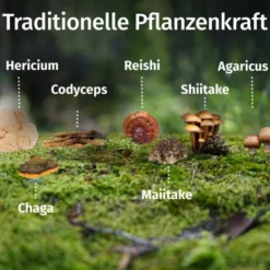 Green Naturals Vital Pilze Cordyceps Reishi Vegan 180 Kapseln