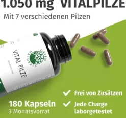 Green Naturals Vital Pilze Cordyceps Reishi Vegan 180 Kapseln