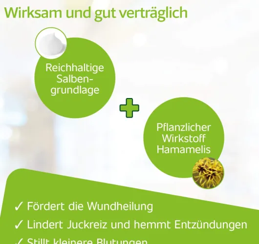 Hametum Wund - und Heilsalbe 200 g