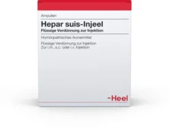 Heel Hepar Suis Injeele Verdünnung 10 Ampullen zu 1,1ml