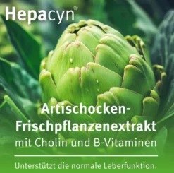 Hepacyn Artischocke 60 Filmtabletten