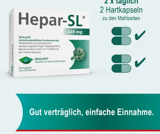 Hepar SL 320 mg 100 Hartkapseln