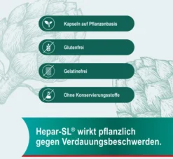 Hepar SL 320 mg 100 Hartkapseln