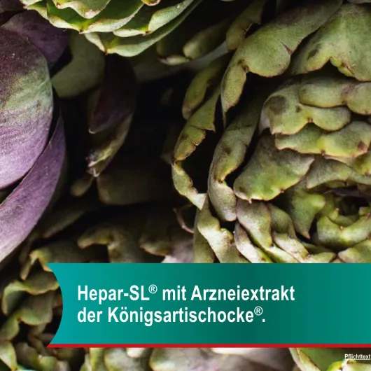 Hepar SL 320 mg 100 Hartkapseln