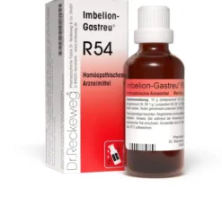 Imbelion Gastreu R 54 50 ml Tropfen