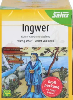 Ingwer Kräuter Gewürztee-Mischung Bio Salus 40 Beutel