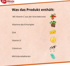 Kinderimmun Dr.Wolz 65 G Pulver