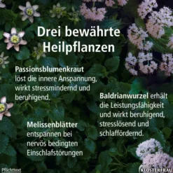 Klosterfrau Seda Plantina 30 Überzogene Tabletten