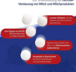 Lactase 28.000 FCC 80 Tabletten im Spender