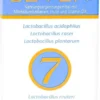 Lactoseven 20 Tabletten