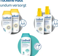 Ladival trockene Haut Sonnenschutz Spray LSF 30 150 ml