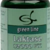 Laktase 12.000 Fcc 60 Kapseln
