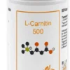 L-Carnitin 500 mg Kapseln