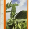 Lecithin Flüssig Berco 250 ml Flüssigkeit