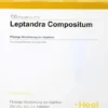 Leptandra Compositum 100 Ampullen