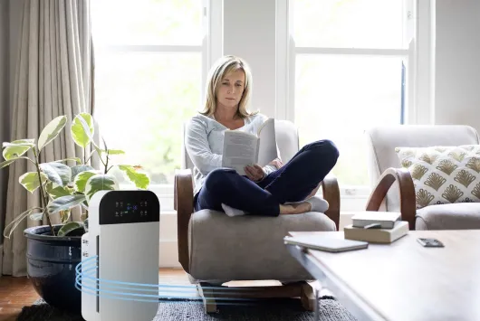 Livington Airpurifier Deluxe 6in1-Luftreiniger für 40 m²