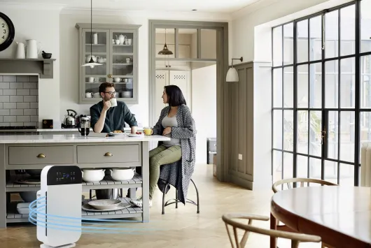 Livington Airpurifier Deluxe 6in1-Luftreiniger für 40 m²