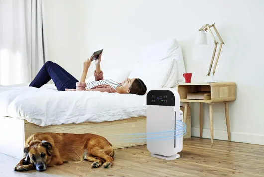 Livington Airpurifier Deluxe 6in1-Luftreiniger für 40 m²