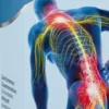 Lumbagil Tropfen zum Einnehmen 50 ml