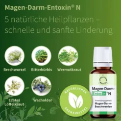 Magen Darm Entoxin N 20 ml Tropfen