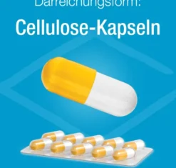 Magnesium Verla 400 90 Kapseln