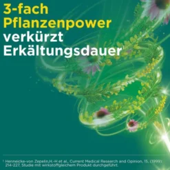 Meditonsin Extract pflanzliche Erkältungstabletten 40 Stück