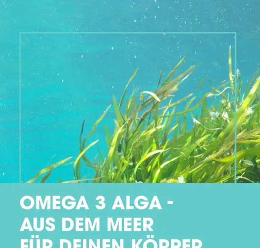 Medivital Omega 3 Alga 120 Kapseln