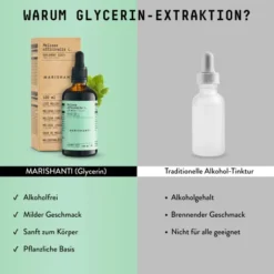 Melissen Extrakt Kräuter Tropfen alkoholfrei 100 ml