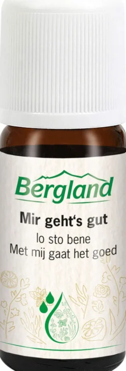 Mir Gehts Gut Ätherische Öl Mmischung 10 ml
