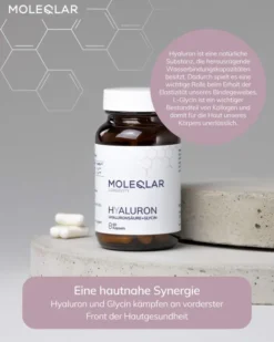 MoleQlar Longevity Hyaluron 60 Kapseln