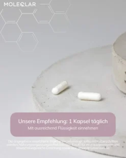 MoleQlar Longevity Hyaluron 60 Kapseln