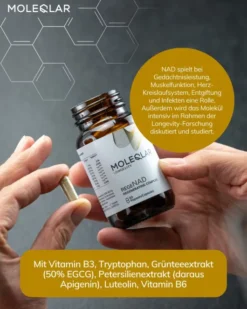 MoleQlar Longevity regeNAD 60 Kapseln