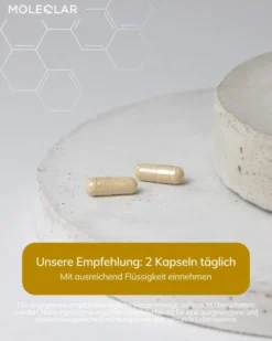 MoleQlar Longevity regeNAD 60 Kapseln