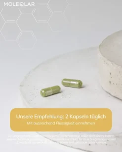 MoleQlar Spermidin 60 Kapseln