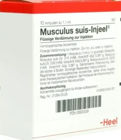 Musculus Suis Injeele